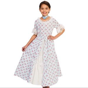 NWT Marie Antoinette or Colonial Dress